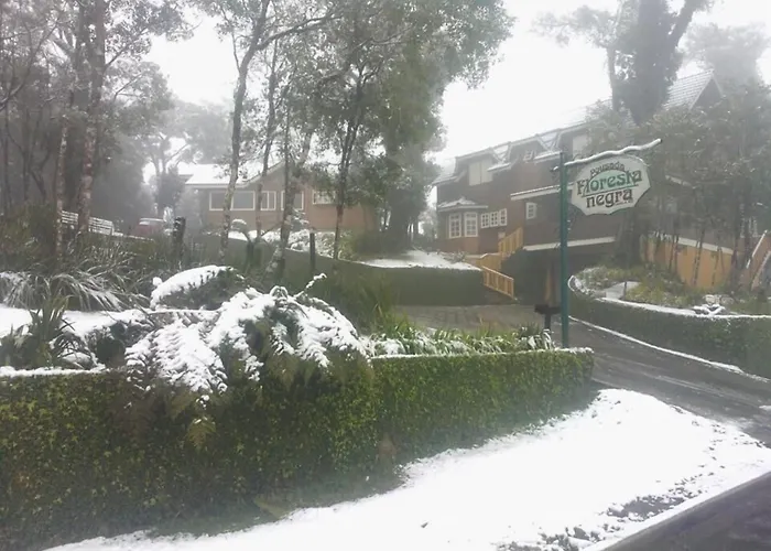  Pousada Floresta Negra